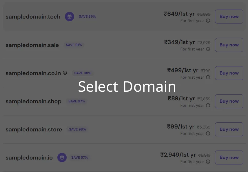 Provider homepage / domain search page